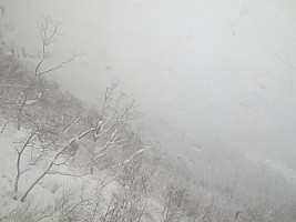 Nozawa Onsen