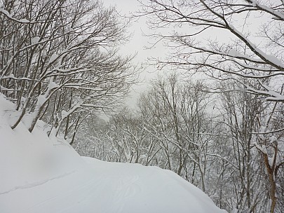 2017-01-16 11.07.12 P1010313 Simon - Tanuji course track, off Skyline.jpeg: 4608x3456, 5939k (2017 Jan 29 10:22)