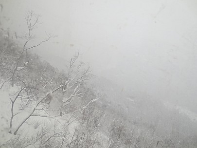View From Gondala
Photo: Anne
2017-01-16 12.59.53; '2017 Jan 16 12:59'
Original size: 4,608 x 3,456; 3,890 kB
2017-01-16 12.59.53 IMG_8635 Anne - view from gondala.jpeg