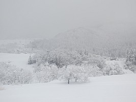 Nozawa Onsen, Kanazawa, Madarao