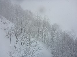 Nozawa Onsen, Kanazawa, Madarao