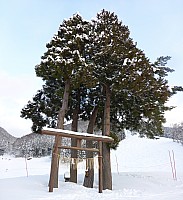 Tōkyō
