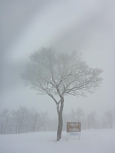 2017-01-19 11.27.28 P1010445 Simon - Mt Kenashi.jpeg: 3456x4608, 5016k (2017 Aug 03 22:12)