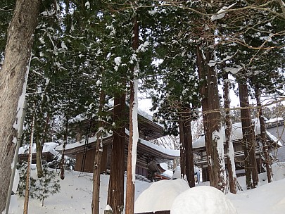 2017-01-19 15.21.59 IMG_8920 Anne - Yuzawa Shrine.jpeg: 4608x3456, 7731k (2017 Jan 26 18:36)