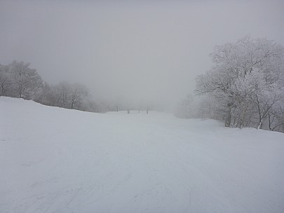 2017-01-19 15.42.48 P1010469 Simon - cloudy Yamabiko-D course.jpeg: 4608x3456, 5479k (2017 Jan 29 10:22)