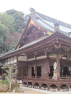 2017-01-21 16.25.22 IMG_9139 Anne - Daisho-in temple.jpeg: 3456x4608, 4984k (2017 Jan 26 18:36)