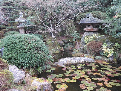 2017-01-21 16.26.43 IMG_9141 Anne - temple water-lily pond.jpeg: 4608x3456, 9376k (2017 Jan 26 18:36)