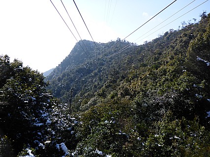 View Up Second Ropeway
Photographer;&nbsp;Simon
2017-01-21&nbsp;12.03.54;&nbsp;Metadata time: '2017 Jan 21 12:03'
Original size:&nbsp;4,608 x 3,456; 6,571 kB
Filename: 2017-01-21 12.03.54 P1010590 Simon - view up second ropeway.jpeg