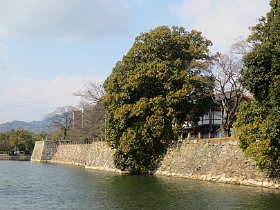 2017-01-22 12.58.30 IMG_9262 Anne - Hiroshima Castle moat.jpeg: 4608x3456, 7482k (2017 Jan 26 18:37)