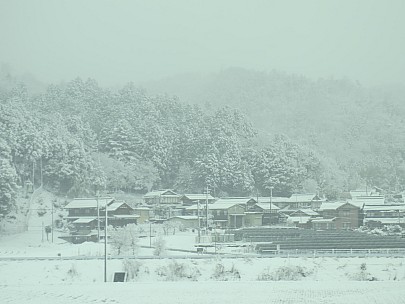 2017-01-23 11.04.31 IMG_9311 Anne - snowy view from train.jpeg: 4608x3456, 4796k (2017 Jan 26 18:37)
