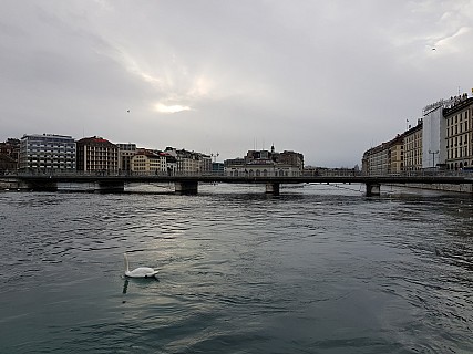 16  04 24  Jim - Rhône from Quai des Bergues
2018-01-19;&nbsp;Metadata time: '2018 Jan 19 16:04'
Original size:&nbsp;4,032 x 3,024; 4,103 kB
Filename: 2018-01-19 16.04.24. Jim - Rhône from Quai des Bergues.jpeg