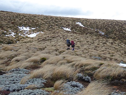 2018-07-08 12.09.26 P1010302 Brian - Simon and Alan crossing tussock ridge.jpeg: 4000x3000, 4692k (2018 Jul 10 22:07)