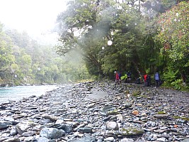 Paringa to Tunnel Creek Hut