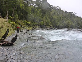 Paringa to Tunnel Creek Hut