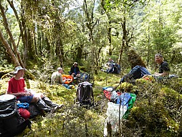 Tunnel Creek Hut to Paringa Rock Biv