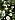 Alpine Daisies
Photographer;&nbsp;Simon
2019-01-15&nbsp;10.04.13;&nbsp;Metadata time: '2019 Jan 15 10:04'
Original size:&nbsp;3,456 x 4,608; 5,404 kB
Filename: 2019-01-15 10.04.13 P1020460 Simon - alpine daisies.jpeg