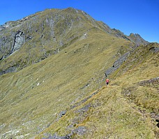 Paringa Rock Biv to McCullaugh Creek