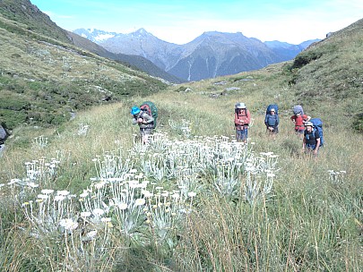 2019-01-15 10.03.37 DSC02522 Alan - the party sidling the upper Paringa.jpeg: 5152x3864, 8116k (2019 Jun 20 20:42)