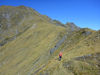 2019-01-15 11.41.44 P1020477 Simon - Bruce on deer trail.jpeg: 4608x3456, 6093k (2019 Jun 20 21:11)