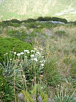 McCullaugh Creek to Murdock Creek