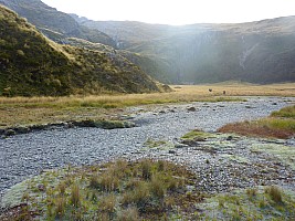 Marks Flat to Ōtoko Flat