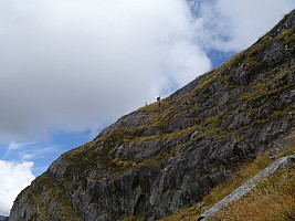 Marks Flat to Ōtoko Flat