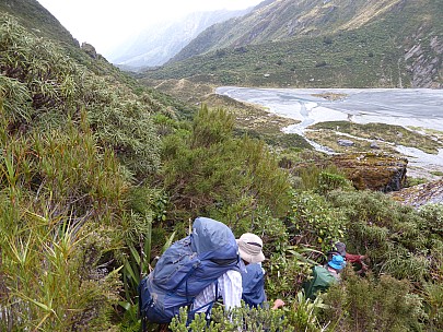 2019-01-18 18.17.13 P1010607 Brian - scrub bashing down to Otoko flat.jpeg: 4000x3000, 4868k (2019 Jun 24 21:09)