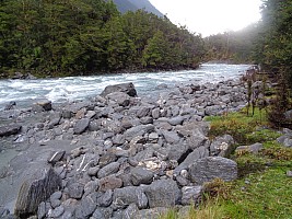 Stag Flat to Fox Glacier