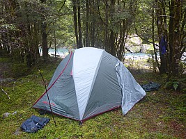 Stag Flat to Fox Glacier