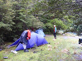 Stag Flat to Fox Glacier