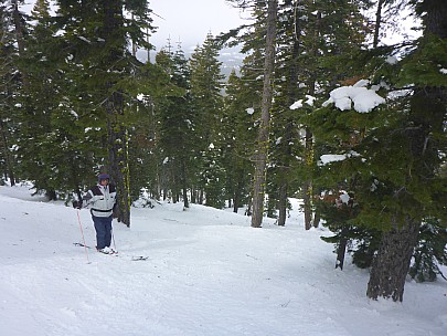 Jim in the glades off Prosser
Photo: Simon
2019-02-25 12.14.56; '2019 Feb 25 12:14'
Original size: 4,608 x 3,456; 6,139 kB
2019-02-25 12.14.56 P1020709 Simon - Jim in the glades off Prosser.jpeg
