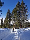 Simon ingressing in  64 acres park
Photographer;&nbsp;Jim
2019-02-27&nbsp;11.09.27;&nbsp;Metadata time: '2019 Feb 27 11:09'
Original size:&nbsp;3,024 x 4,032; 2,803 kB
Filename: 2019-02-27 11.09.27 Jim - Simon ingressing in 64 acres park.jpeg
