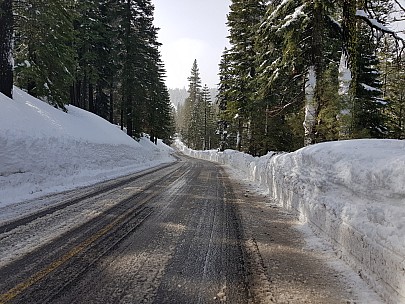 Snow banks down Granlibakken Road
Photo: Jim
2019-02-27 10.05.52; '2019 Feb 27 10:05'
Original size: 4,032 x 3,024; 2,829 kB
2019-02-27 10.05.52 Jim - snow banks down Granlibakken Road.jpeg