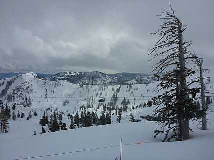 From Mountain Run
Photographer;&nbsp;Simon
2019-03-01&nbsp;11.20.04;&nbsp;Metadata time: '2019 Mar 01 11:20'
Original size:&nbsp;4,608 x 3,456; 6,018 kB
Filename: 2019-03-01 11.20.04 P1020755 Simon - from Mountain Run P3.jpeg