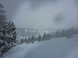 Mt Rose