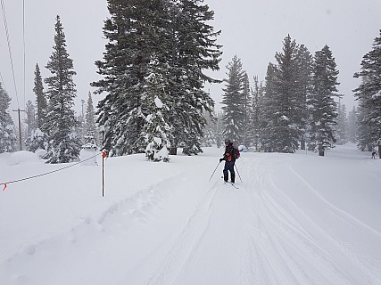Simon on Broomstick run
Photographer;&nbsp;Jim
2019-03-02&nbsp;09.57.36;&nbsp;Metadata time: '2019 Mar 02 09:57'
Original size:&nbsp;4,032 x 3,024; 4,459 kB
Filename: 2019-03-02 09.57.36 Jim - Simon on Broomstick run.jpeg