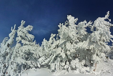 2019-03-04 16.08.43 Panorama Simon - Snow in trees_stitch.jpg: 7462x5044, 30187k (2019 Mar 14 17:26)