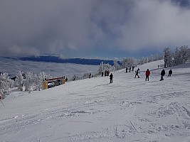 Heavenly