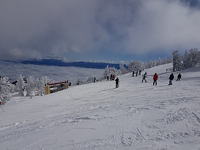 View from top of Tamarack Express
Photo: Jim
2019-03-04 09.49.56; '2019 Mar 04 09:49'
Original size: 4,032 x 3,024; 3,888 kB
2019-03-04 09.49.56 Jim - view from top of Tamarack Express.jpeg