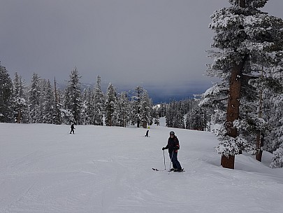Simon on Ridge Run
Photo: Jim
2019-03-04 11.00.12; '2019 Mar 04 11:00'
Original size: 4,032 x 3,024; 4,323 kB
2019-03-04 11.00.12 Jim - Simon on Ridge Run.jpeg
