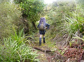 Mason Bay to Doughboy Bay