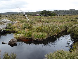Mason Bay to Doughboy Bay