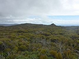 Mason Bay to Doughboy Bay