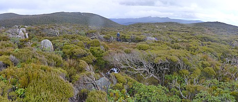 Mason Bay to Doughboy Bay