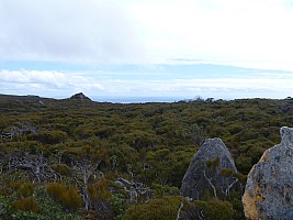 Mason Bay to Doughboy Bay