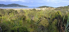 Doughboy Bay sandhills  2
Photographer;&nbsp;Simon
2019-11-11&nbsp;08.13.22;&nbsp;Metadata time: '2019 Nov 11 08:13'
Original size:&nbsp;7,074 x 3,282; 23,793 kB;&nbsp;stitch
Filename: 2019-11-11 08.13.22 Panorama Simon - Doughboy Bay sandhills 2_stitch.jpg