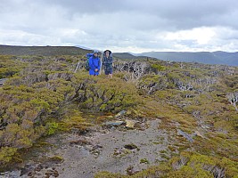 Doughboy Bay to Rakeahua Hut