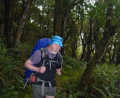 Doughboy Bay to Rakeahua Hut