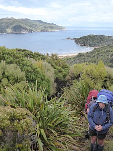Jim on the track above Doughboy Bay
Photographer;&nbsp;Brian
2019-11-11&nbsp;08.40.21;&nbsp;Metadata time: '2019 Nov 11 08:40'
Original size:&nbsp;3,000 x 4,000; 4,059 kB
Filename: 2019-11-11 08.40.21 P1020047 Brian - Jim on the track above Doughboy Bay.jpeg
