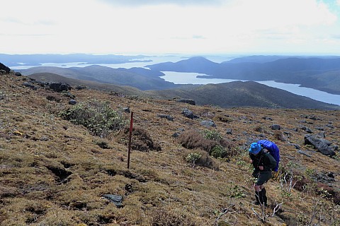 2019-11-12 11.44.10 P1020064 Brian - Simon nearing the top of Rakeahua, Patterson inlet behind_br.jpeg: 3264x2176, 3570k (2019 Nov 16 20:40)